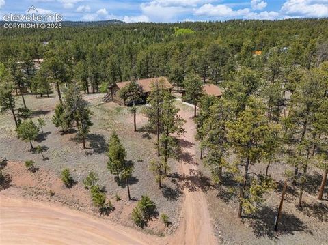 Tiny photo for 187 Thunder Ridge Road, Florissant, CO 80816 (MLS # 7923743)