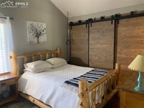 Tiny photo for 790 Columbine Village Drive #B, Woodland Park, CO 80863 (MLS # 1561367)