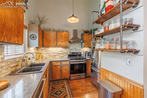 Tiny photo for 790 Columbine Village Drive #B, Woodland Park, CO 80863 (MLS # 1561367)