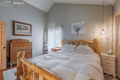 Tiny photo for 790 Columbine Village Drive #B, Woodland Park, CO 80863 (MLS # 1561367)