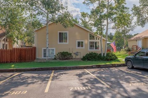 Tiny photo for 790 Columbine Village Drive #B, Woodland Park, CO 80863 (MLS # 1561367)