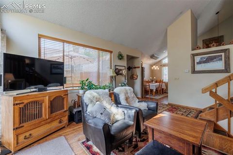 Tiny photo for 790 Columbine Village Drive #B, Woodland Park, CO 80863 (MLS # 1561367)