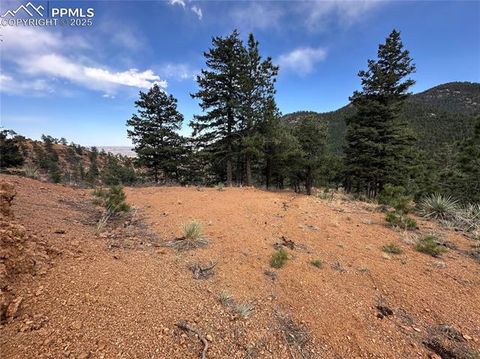 5565 Founders Place Manitou Springs CO 80892