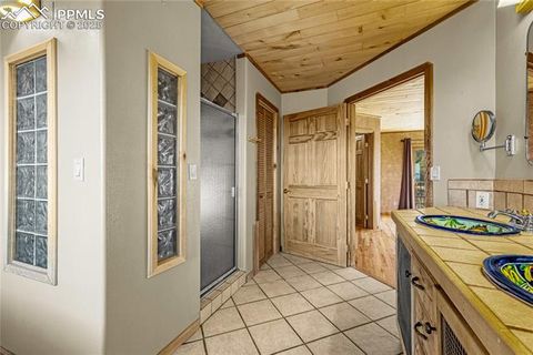 Tiny photo for 845 Crystal Park Road, Manitou Springs, CO 80829 (MLS # 9093655)