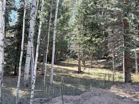Photo of 453 Homestead Drive, Woodland Park, CO 80863 (MLS # 8109125)