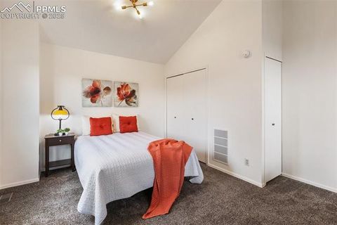Tiny photo for 303 E Lake Avenue, Woodland Park, CO 80863 (MLS # 4052105)