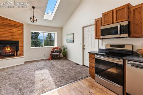 Tiny photo for 303 E Lake Avenue, Woodland Park, CO 80863 (MLS # 4052105)