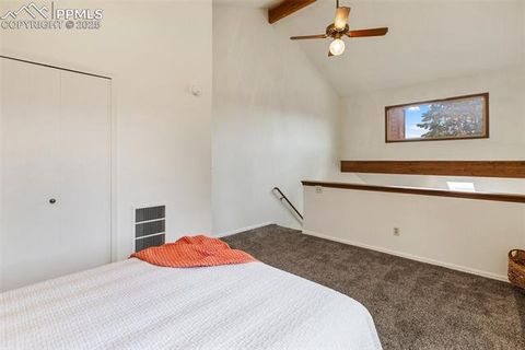 Tiny photo for 303 E Lake Avenue, Woodland Park, CO 80863 (MLS # 4052105)