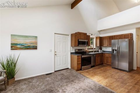 Tiny photo for 303 E Lake Avenue, Woodland Park, CO 80863 (MLS # 4052105)