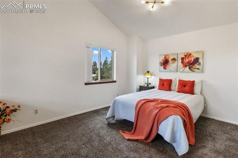 Tiny photo for 303 E Lake Avenue, Woodland Park, CO 80863 (MLS # 4052105)