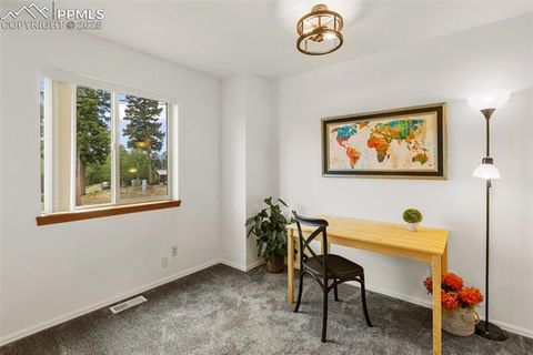 Tiny photo for 303 E Lake Avenue, Woodland Park, CO 80863 (MLS # 4052105)