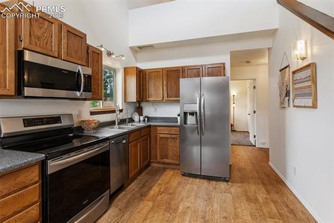 Tiny photo for 303 E Lake Avenue, Woodland Park, CO 80863 (MLS # 4052105)