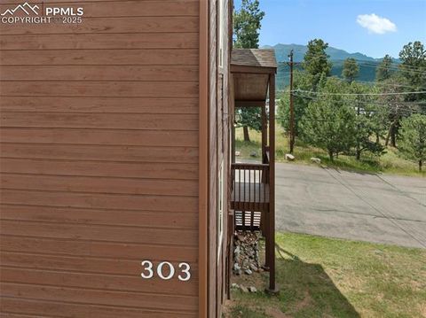 Tiny photo for 303 E Lake Avenue, Woodland Park, CO 80863 (MLS # 4052105)