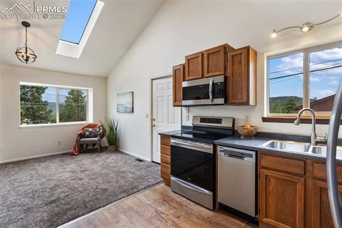 Tiny photo for 303 E Lake Avenue, Woodland Park, CO 80863 (MLS # 4052105)