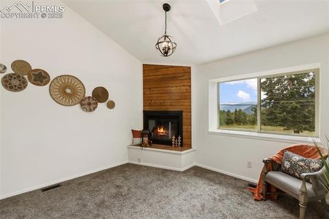 Tiny photo for 303 E Lake Avenue, Woodland Park, CO 80863 (MLS # 4052105)