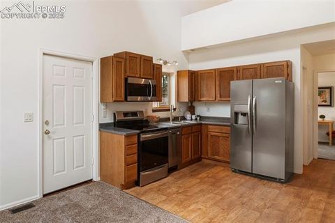 Tiny photo for 303 E Lake Avenue, Woodland Park, CO 80863 (MLS # 4052105)