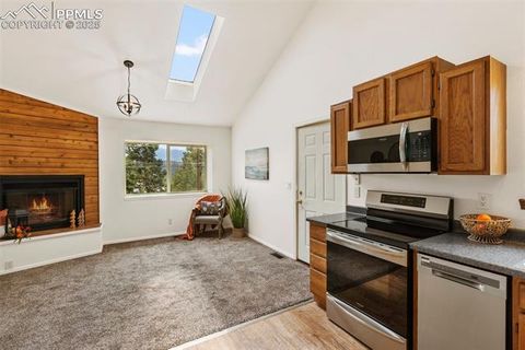 Tiny photo for 303 E Lake Avenue, Woodland Park, CO 80863 (MLS # 4052105)