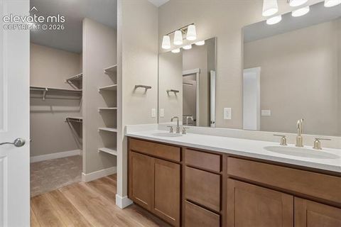 Tiny photo for 3059 Curly Grove, Colorado Springs, CO 80922 (MLS # 5539075)