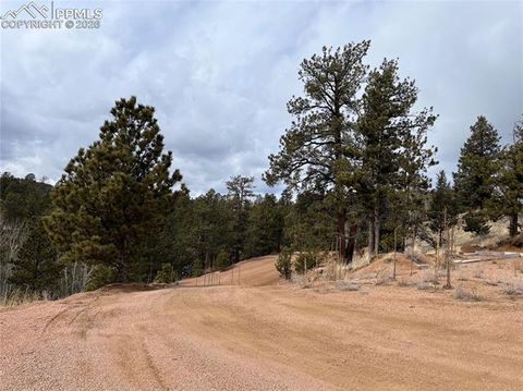 Photo of 351 Dandy Jim Drive, Cripple Creek, CO 80813 (MLS # 9289490)