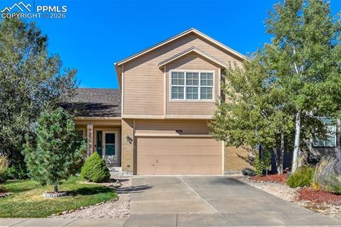 Photo of 3978 Pronghorn Meadows Circle, Colorado Springs, CO 80922 (MLS # 9063883)