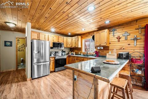 Tiny photo for 536 Chris Crossover, Canon City, CO 81212 (MLS # 9211147)