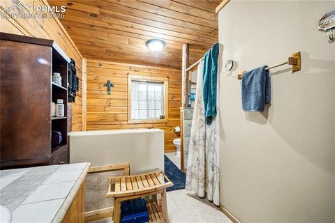 Tiny photo for 536 Chris Crossover, Canon City, CO 81212 (MLS # 9211147)
