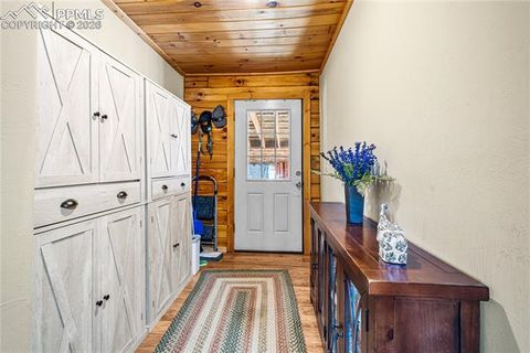 Tiny photo for 536 Chris Crossover, Canon City, CO 81212 (MLS # 9211147)
