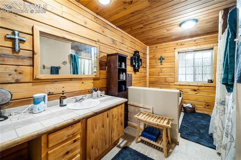 Tiny photo for 536 Chris Crossover, Canon City, CO 81212 (MLS # 9211147)