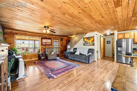 Tiny photo for 536 Chris Crossover, Canon City, CO 81212 (MLS # 9211147)