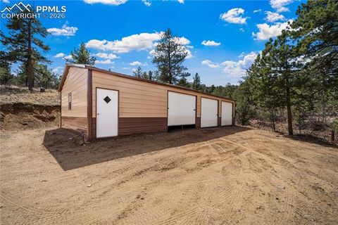 Tiny photo for 536 Chris Crossover, Canon City, CO 81212 (MLS # 9211147)