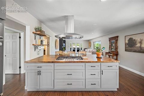 Tiny photo for 208 Oak Place, Manitou Springs, CO 80829 (MLS # 8150417)