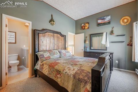 Tiny photo for 800 Columbine Village Drive #B, Woodland Park, CO 80863 (MLS # 3902829)