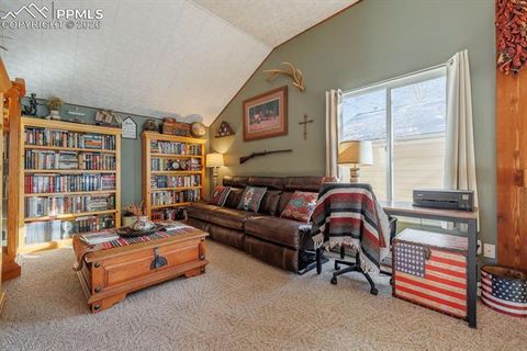 Tiny photo for 800 Columbine Village Drive #B, Woodland Park, CO 80863 (MLS # 3902829)