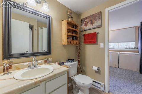 Tiny photo for 800 Columbine Village Drive #B, Woodland Park, CO 80863 (MLS # 3902829)