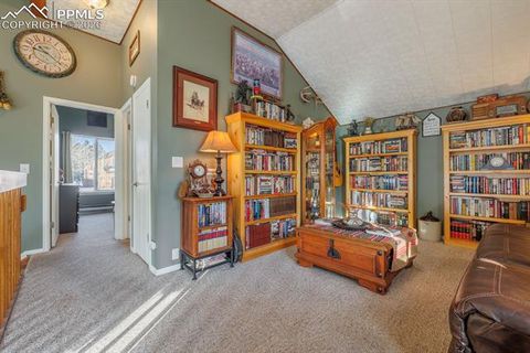 Tiny photo for 800 Columbine Village Drive #B, Woodland Park, CO 80863 (MLS # 3902829)