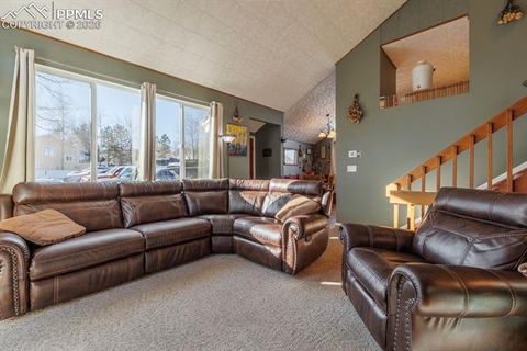 Tiny photo for 800 Columbine Village Drive #B, Woodland Park, CO 80863 (MLS # 3902829)