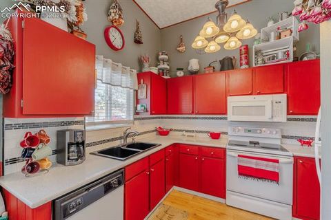 Tiny photo for 800 Columbine Village Drive #B, Woodland Park, CO 80863 (MLS # 3902829)