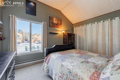 Tiny photo for 800 Columbine Village Drive #B, Woodland Park, CO 80863 (MLS # 3902829)