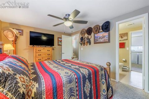 Tiny photo for 800 Columbine Village Drive #B, Woodland Park, CO 80863 (MLS # 3902829)