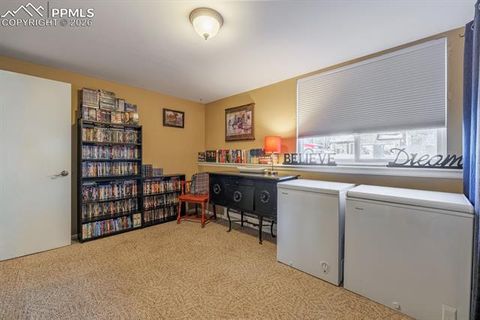 Tiny photo for 800 Columbine Village Drive #B, Woodland Park, CO 80863 (MLS # 3902829)