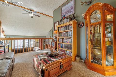 Tiny photo for 800 Columbine Village Drive #B, Woodland Park, CO 80863 (MLS # 3902829)