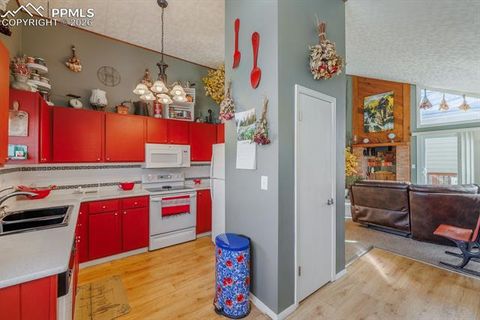Tiny photo for 800 Columbine Village Drive #B, Woodland Park, CO 80863 (MLS # 3902829)