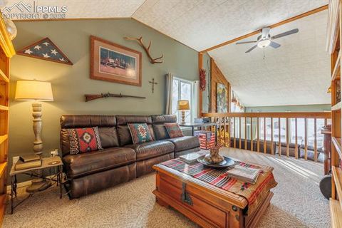 Tiny photo for 800 Columbine Village Drive #B, Woodland Park, CO 80863 (MLS # 3902829)