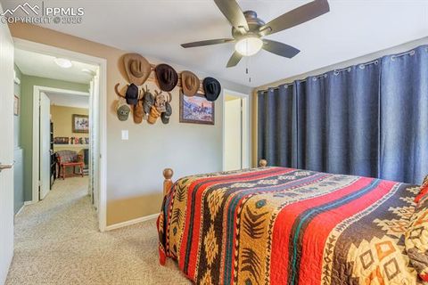 Tiny photo for 800 Columbine Village Drive #B, Woodland Park, CO 80863 (MLS # 3902829)