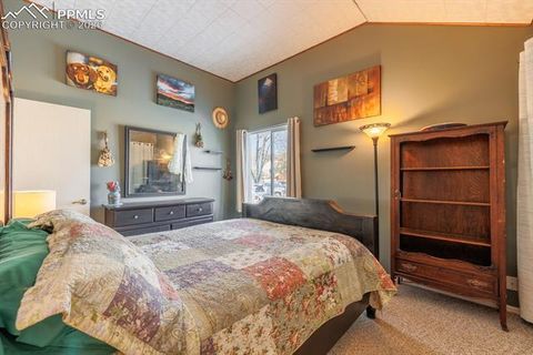 Tiny photo for 800 Columbine Village Drive #B, Woodland Park, CO 80863 (MLS # 3902829)