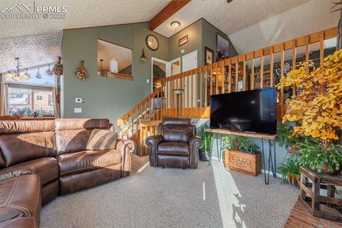 Tiny photo for 800 Columbine Village Drive #B, Woodland Park, CO 80863 (MLS # 3902829)