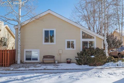 Tiny photo for 800 Columbine Village Drive #B, Woodland Park, CO 80863 (MLS # 3902829)