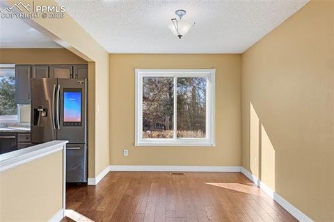 Tiny photo for 4815 Harvest Court, Colorado Springs, CO 80917 (MLS # 9868973)