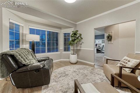 Tiny photo for 1301 Hazeline Lake Drive, Colorado Springs, CO 80921 (MLS # 7063832)