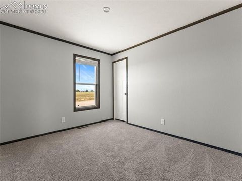 Tiny photo for 17755 County Road 2, Rush, CO 80833 (MLS # 7212574)